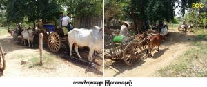 Magway 4 Pic 02