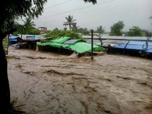 21369673_1276920225764348_2410316716200922254_n