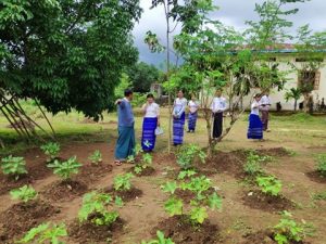 67239256_903923273291609_555027138919530496_n