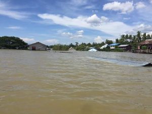 IMG-4084e201341543b58c71fefcee7e0874-V