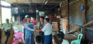 IMG-c0ce39596eb837a2bddafb7412e53469-V